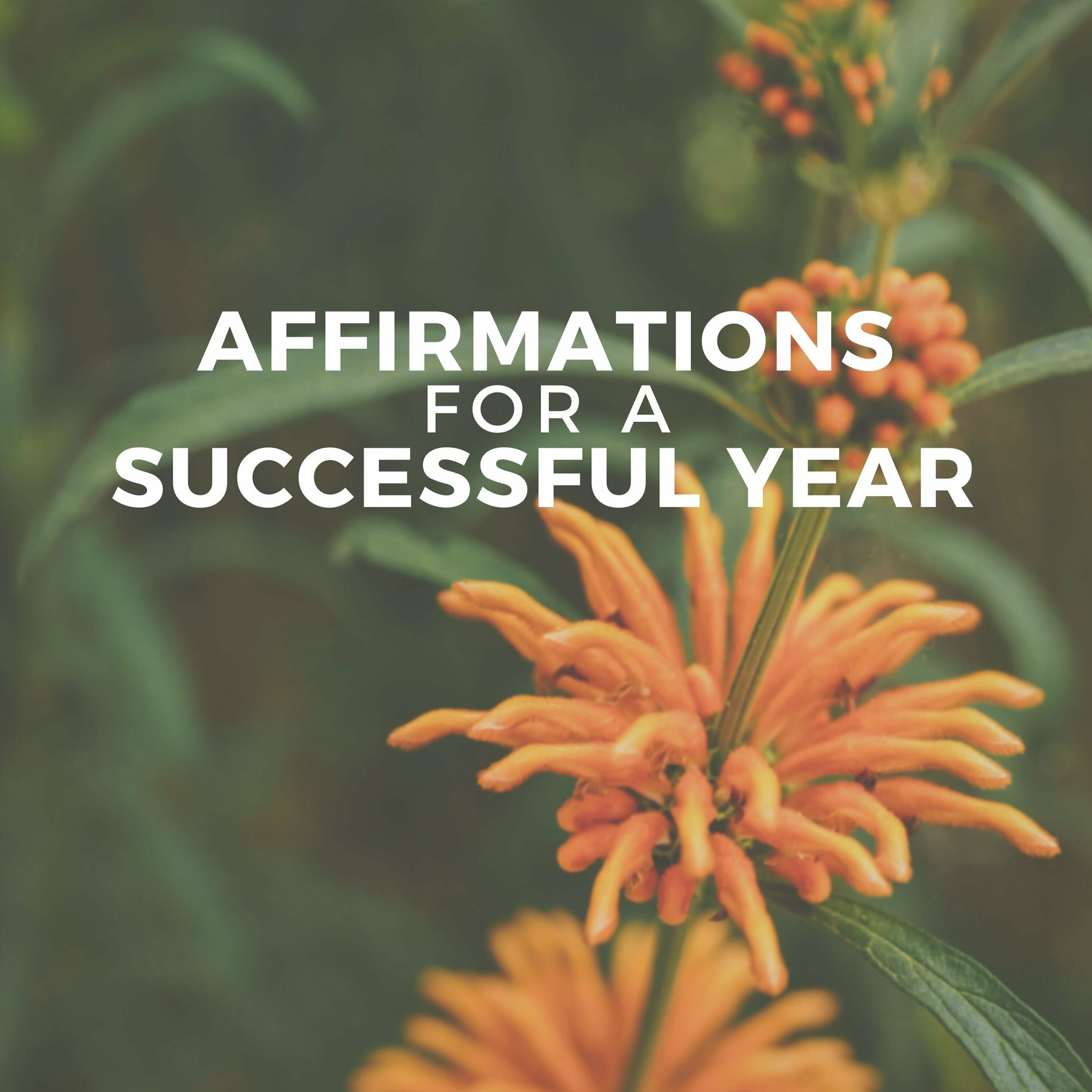 Album cover of Affirmations for a Successful Year