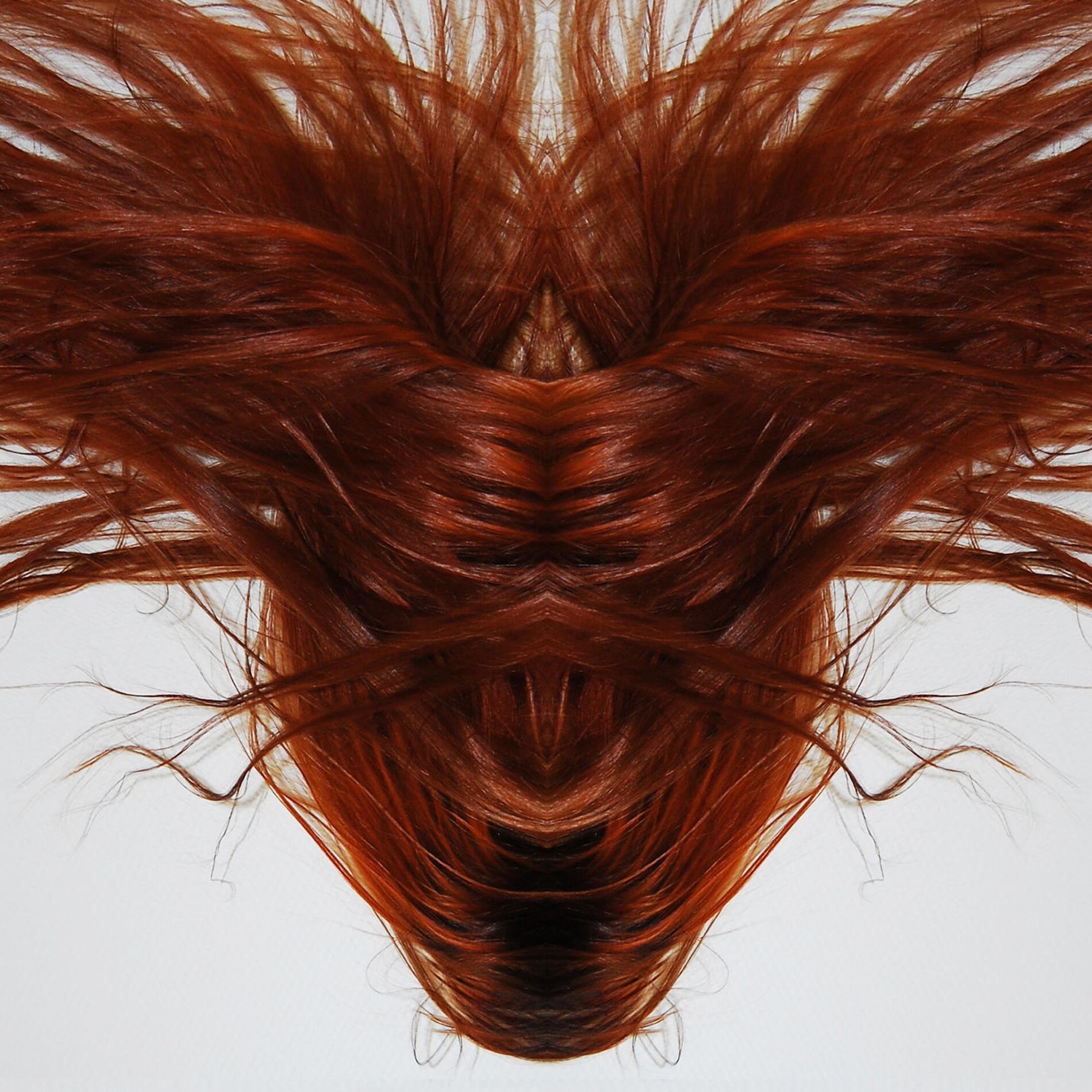 Album cover of A Collection Of Hair