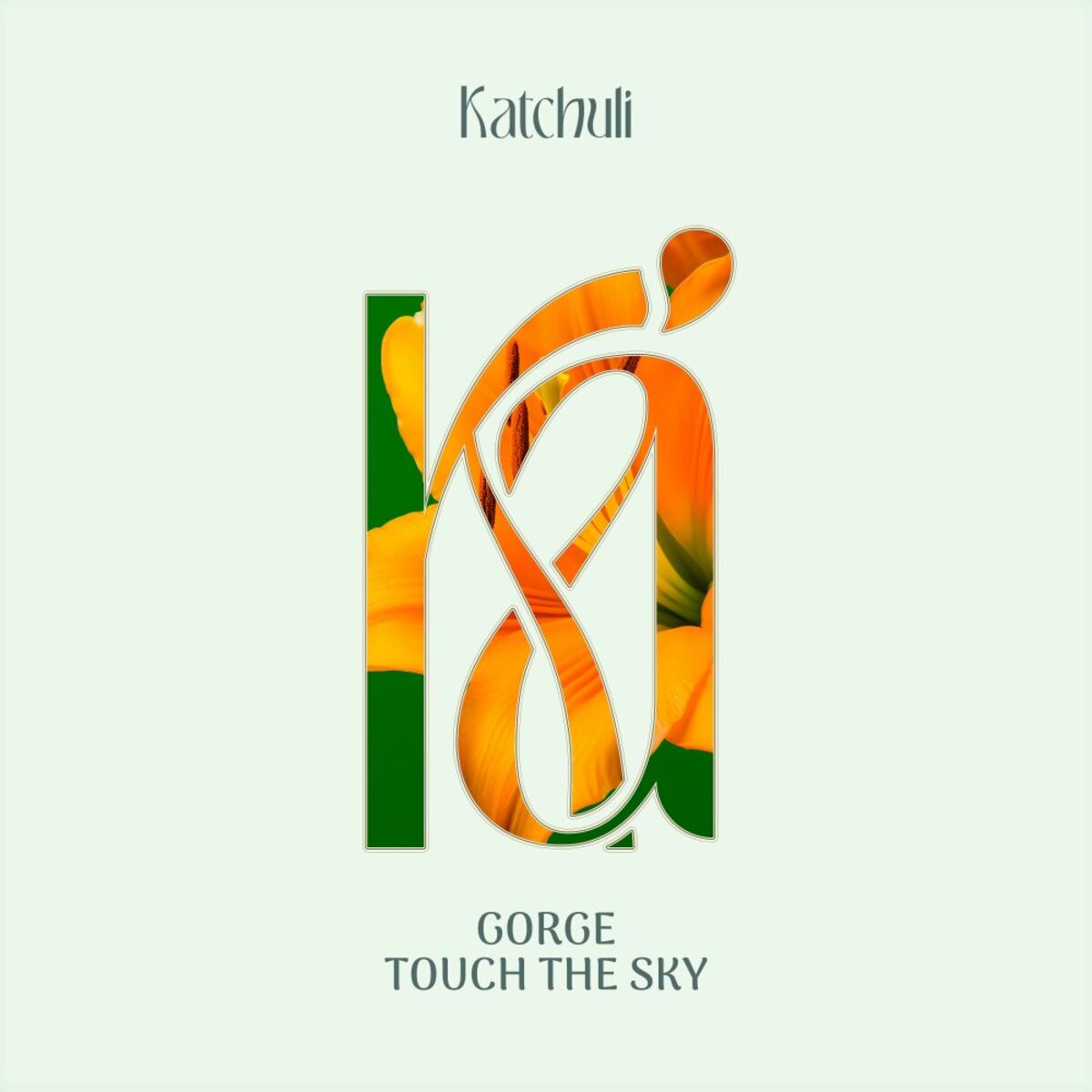 Album cover of Touch The Sky