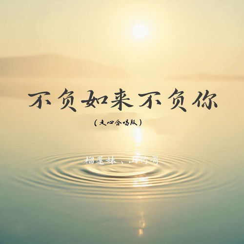 不负如来不负你 (走心合唱版)