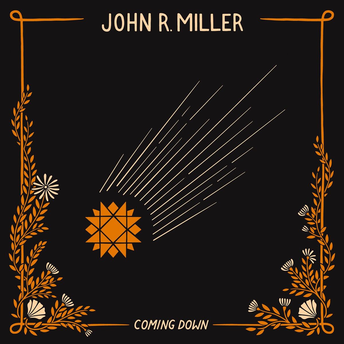 Album cover of Coming Down