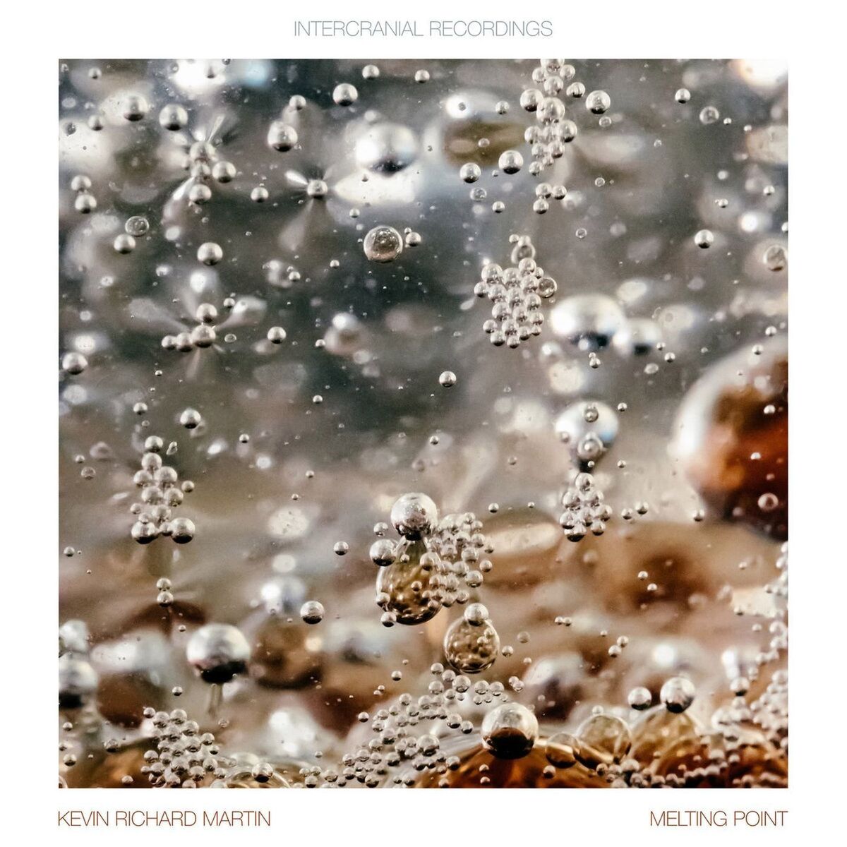 Album cover of Melting Point