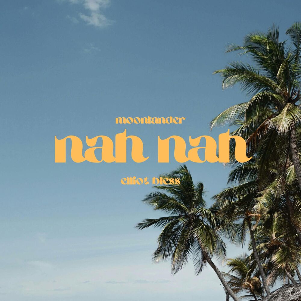 Picture of nah nah (feat. Elliot Bless)