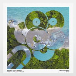 Cover of Gosa Remixes
