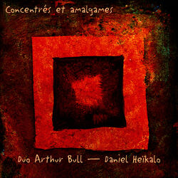 Cover of Concentrés et amalgames