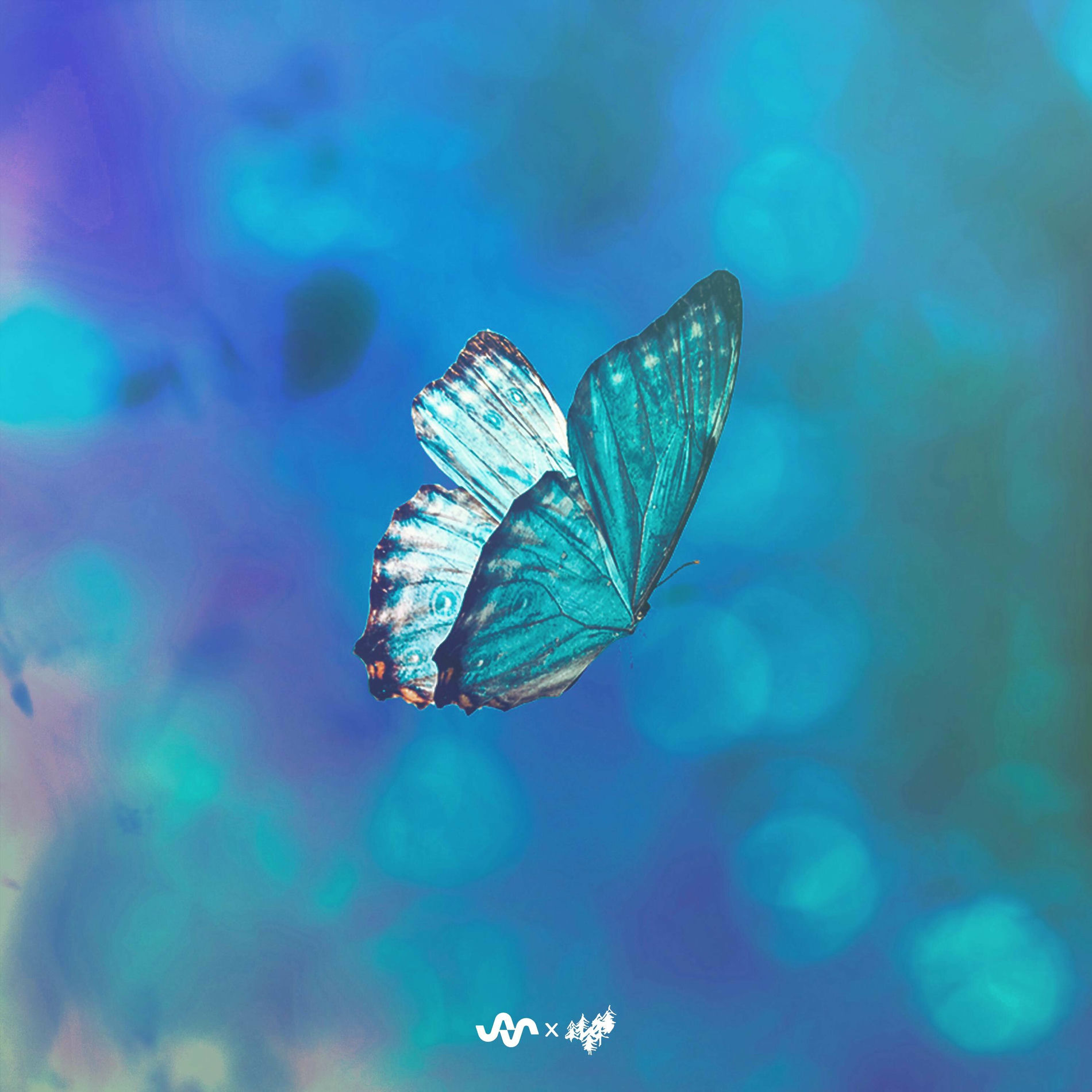 Album cover of Changes