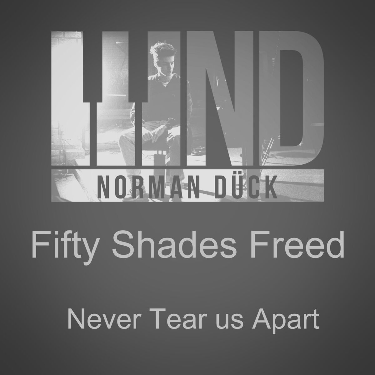 Album cover of Fifty Shades Freed: Never Tear Us Apart