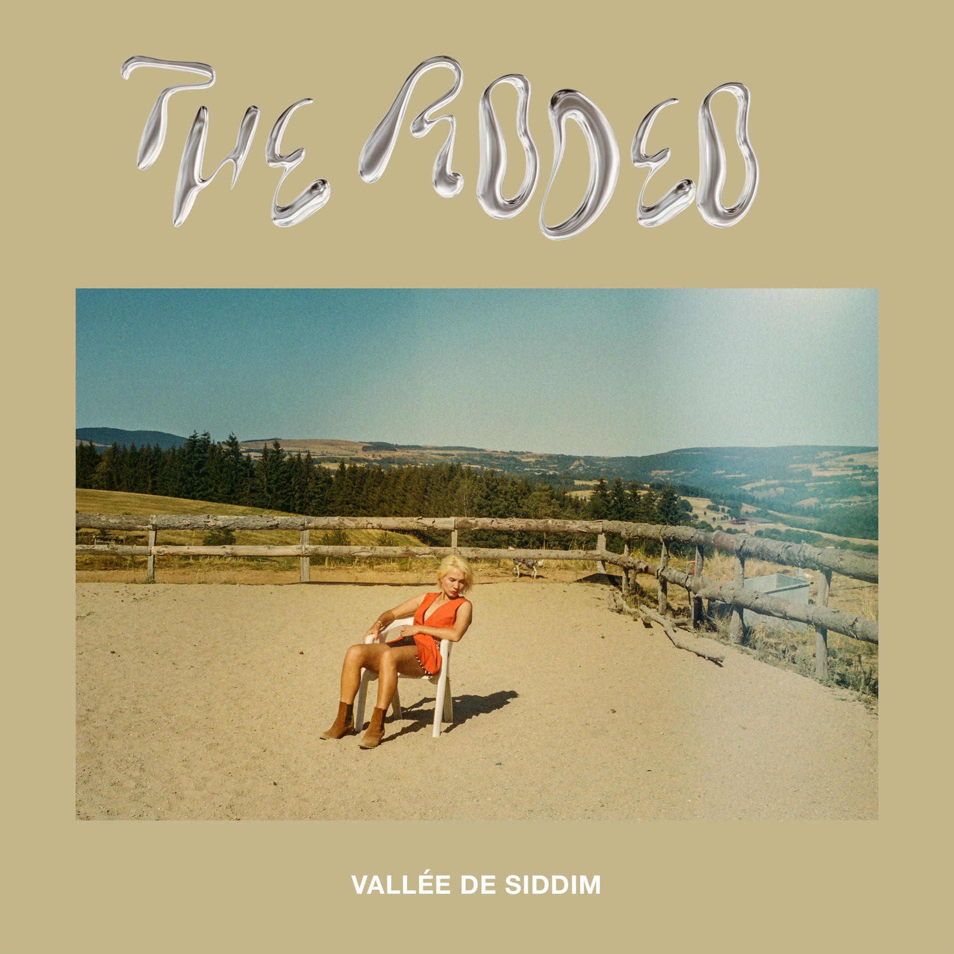 Album cover of Vallée de Siddim