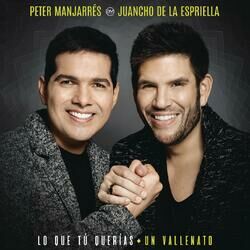 Cover of Lo Que Tú Querías, Un Vallenato
