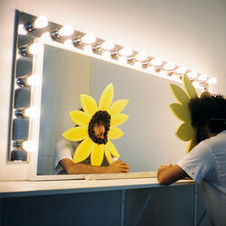 Cover of Better To Lie