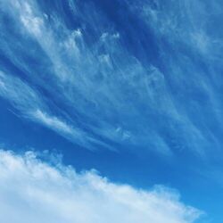 Cover of demos from the sky