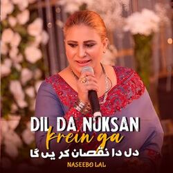 Cover of Dil da Nuksan Karain Ga