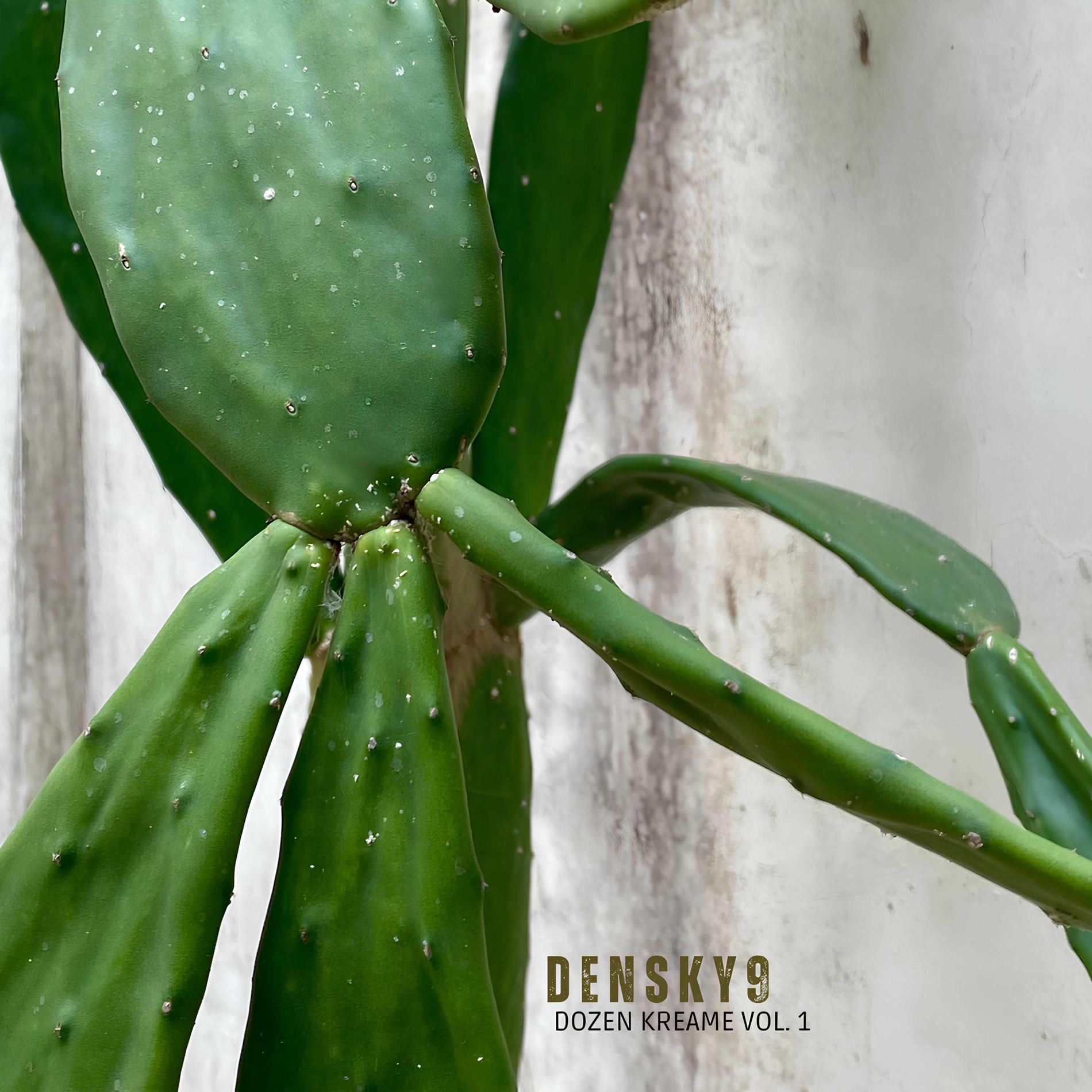 Album cover of Dozen Kreame Volume 1
