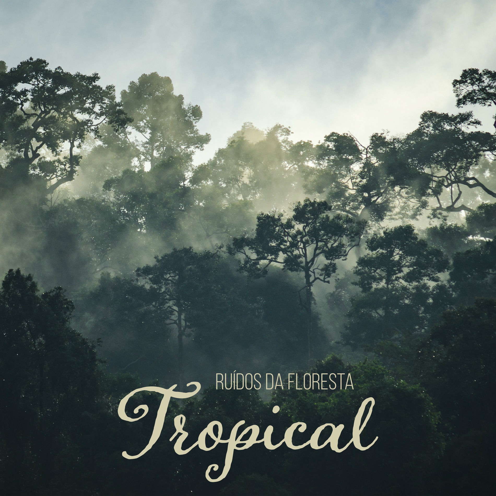 Album cover of Ruídos da Floresta Tropical