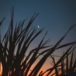 Cover of quiet hours