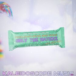 Cover of Only The Haterz