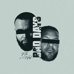 Cover of Bad Days