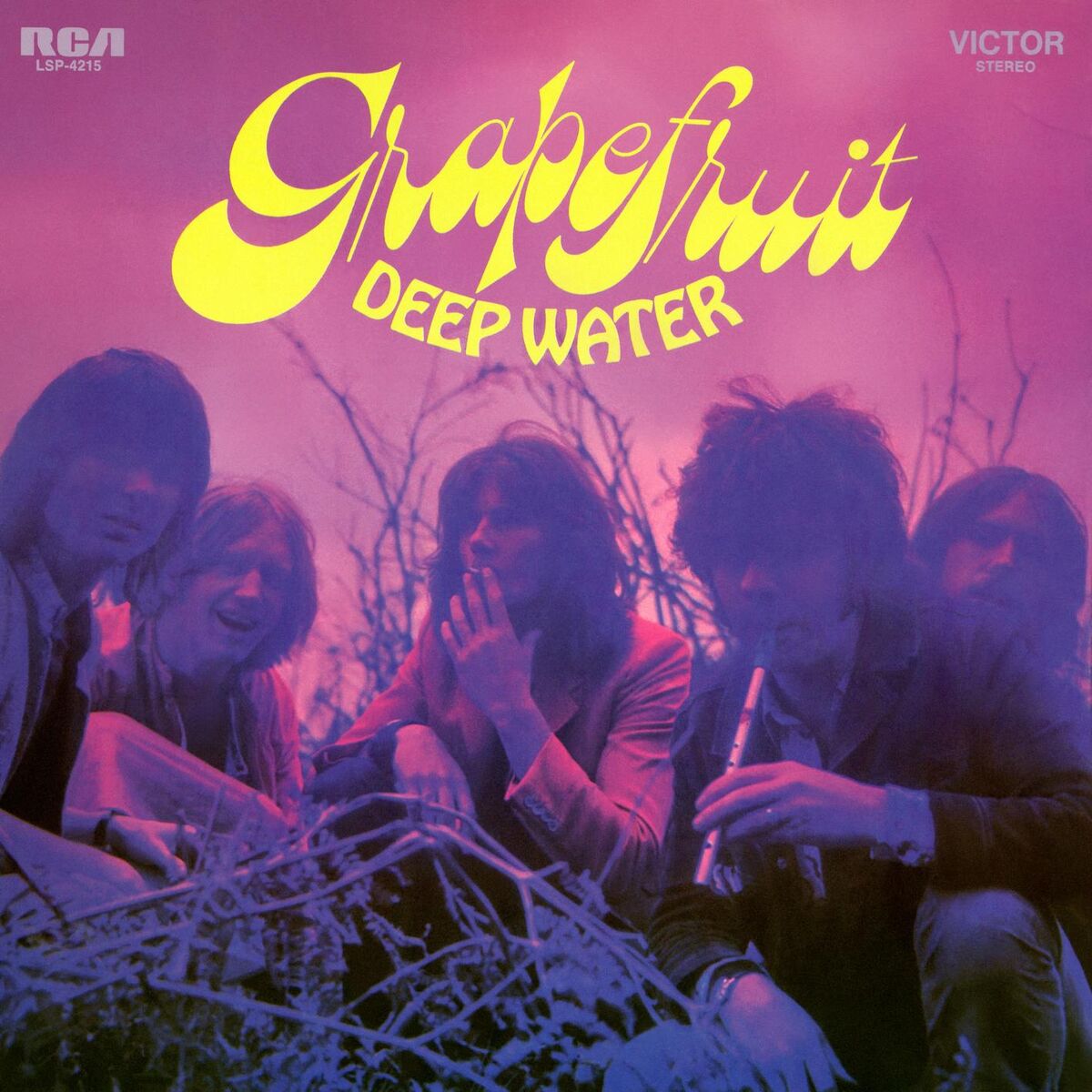 Album cover of Deep Water