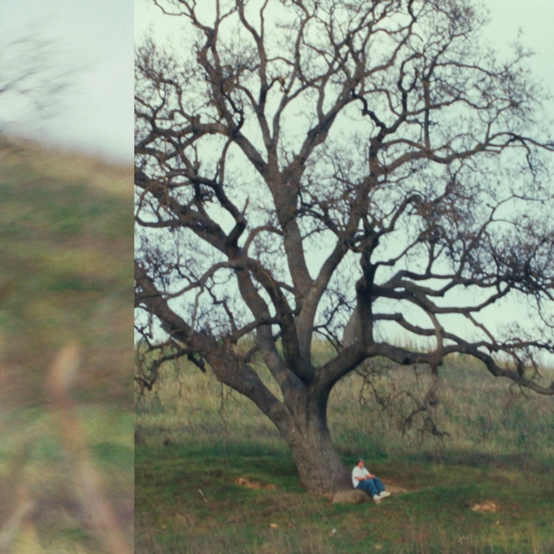 Album cover of wintergreen