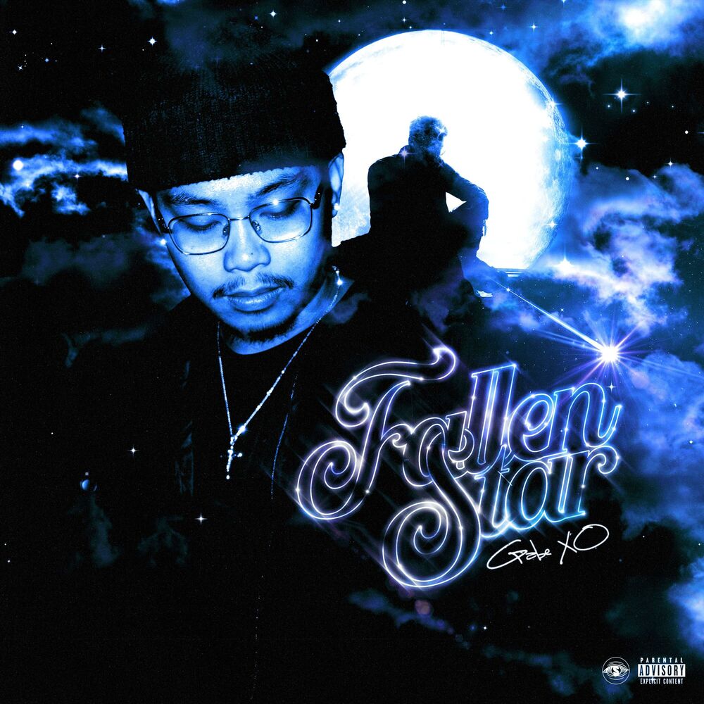 Picture of Fallen Star