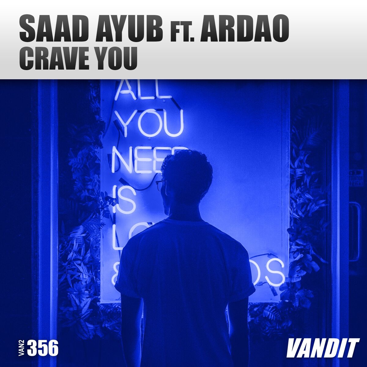 Album cover of Crave You