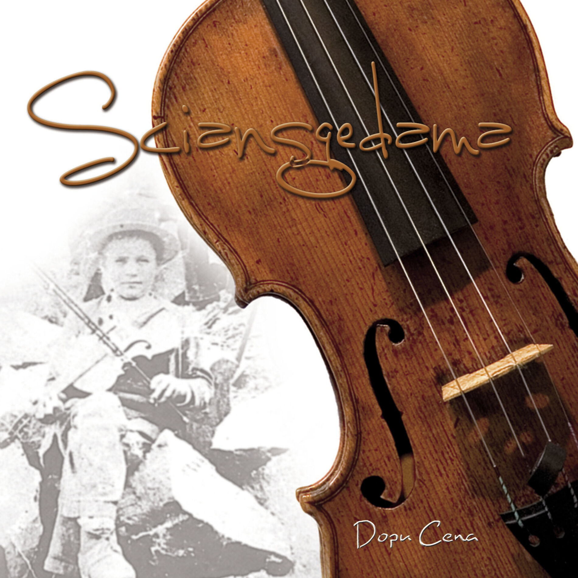 Album cover of Sciansgedama