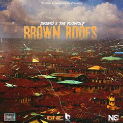 Cover of Brown Roofs