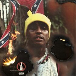 Cover of Burn The Hoods