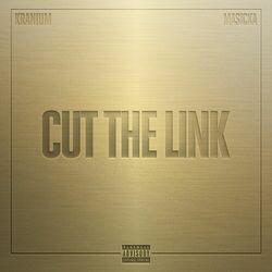 Cover of Cut The Link