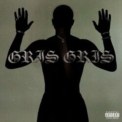 Cover of GRIS GRIS