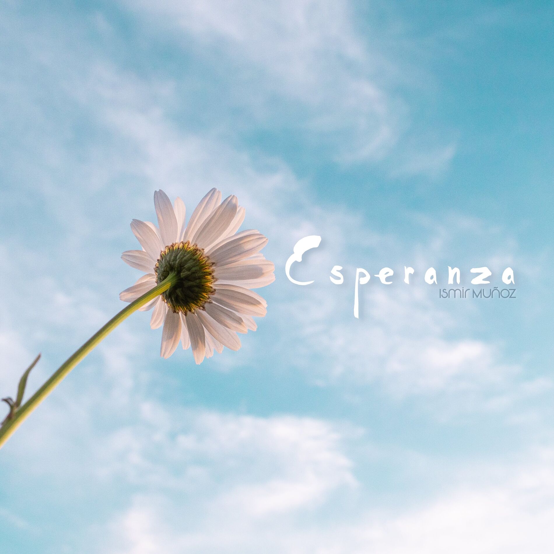 Album cover of Esperanza