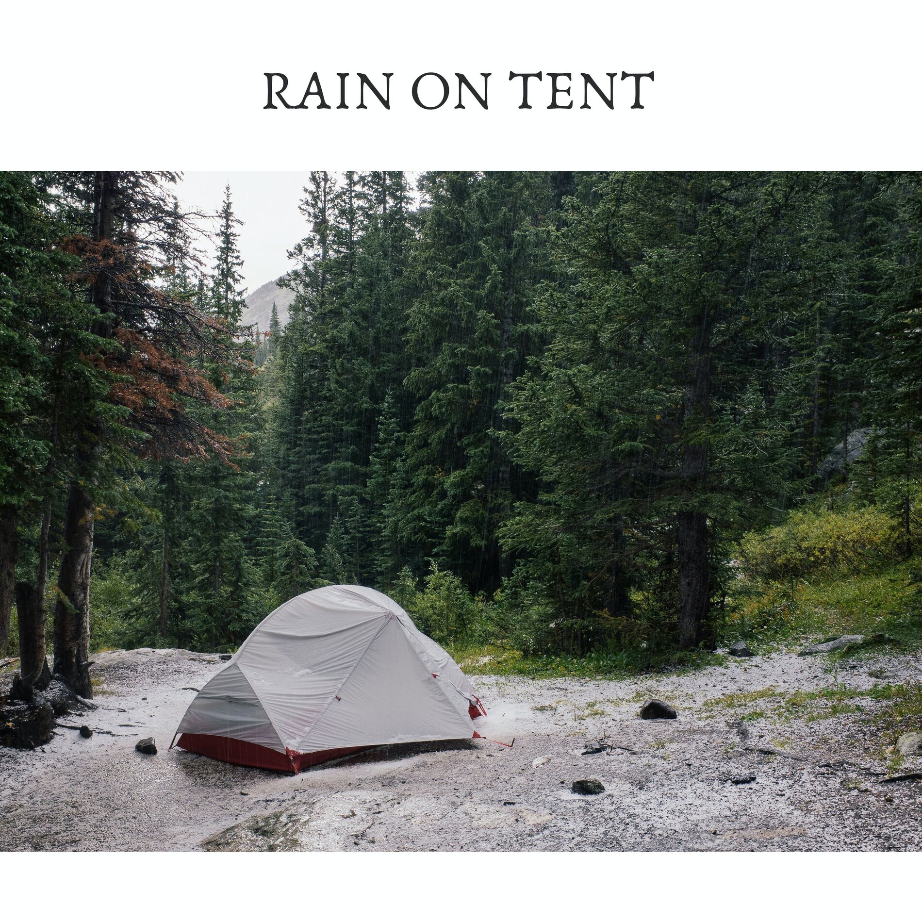 Album cover of Rain on Tent