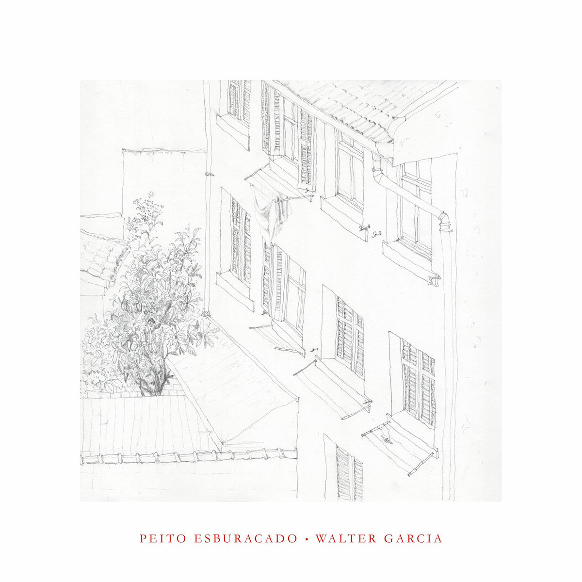 Album cover of Peito Esburacado