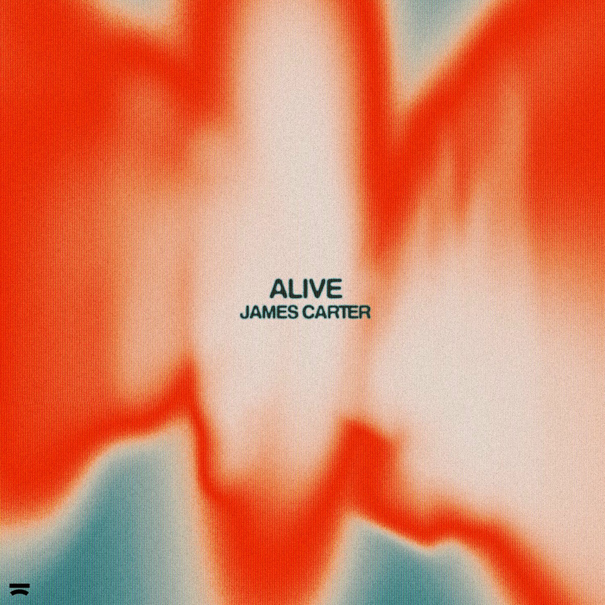 Album cover of Alive