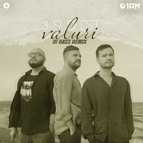 Valuri (DJ Razz Remix) cover art
