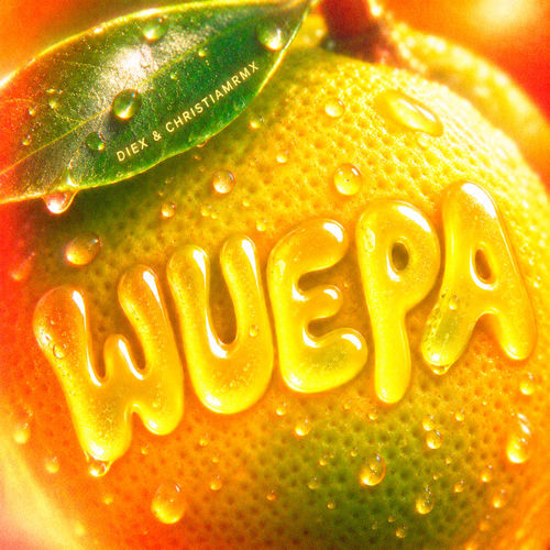 WUEPA