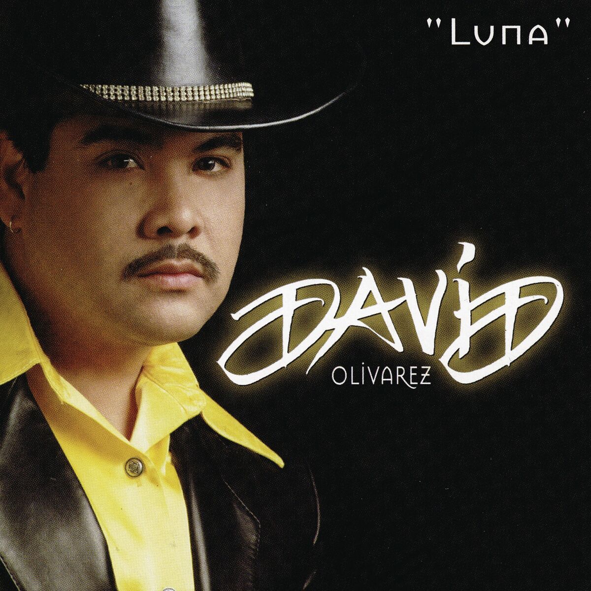 Album cover of Luna