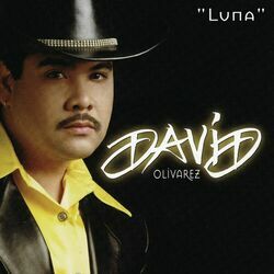 Cover of Luna