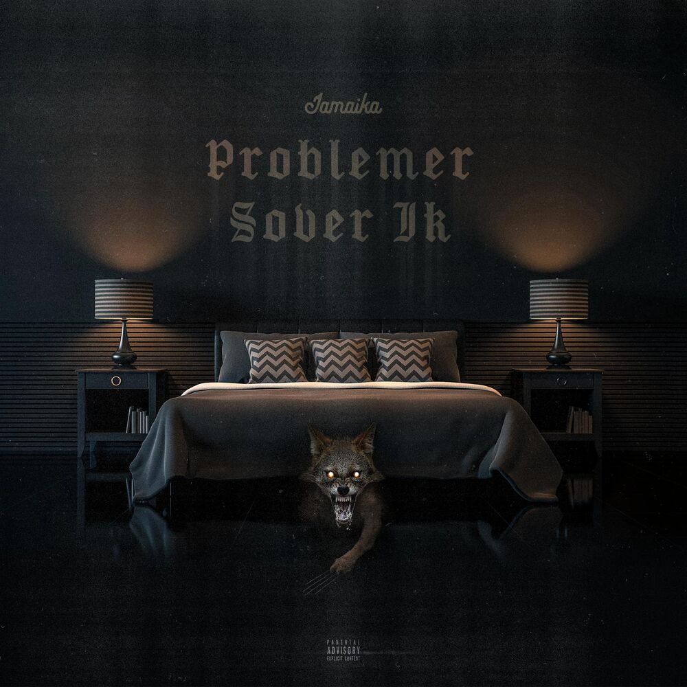 Picture of Problemer Sover Ik