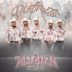Cover of Disfruto
