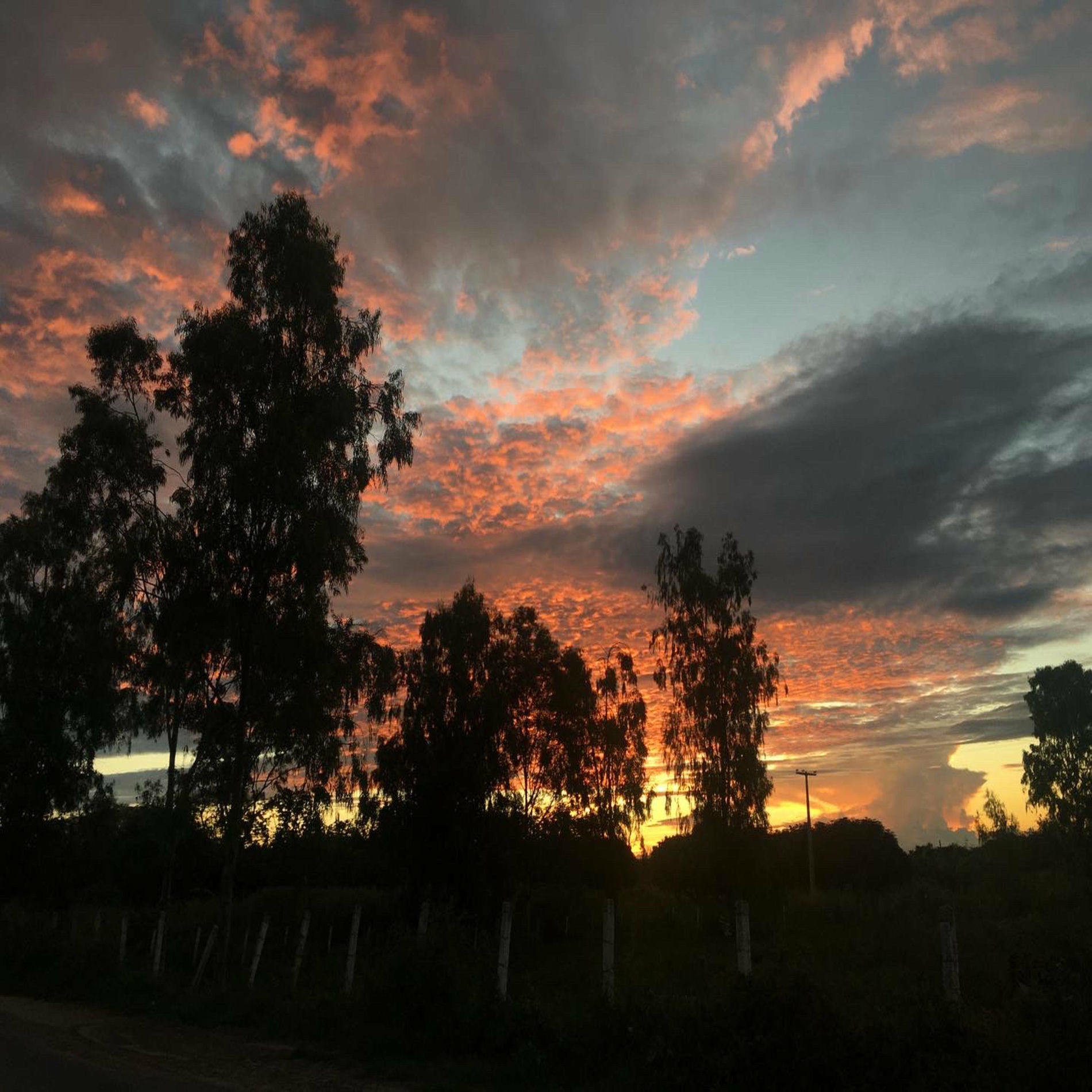 Album cover of Ironia