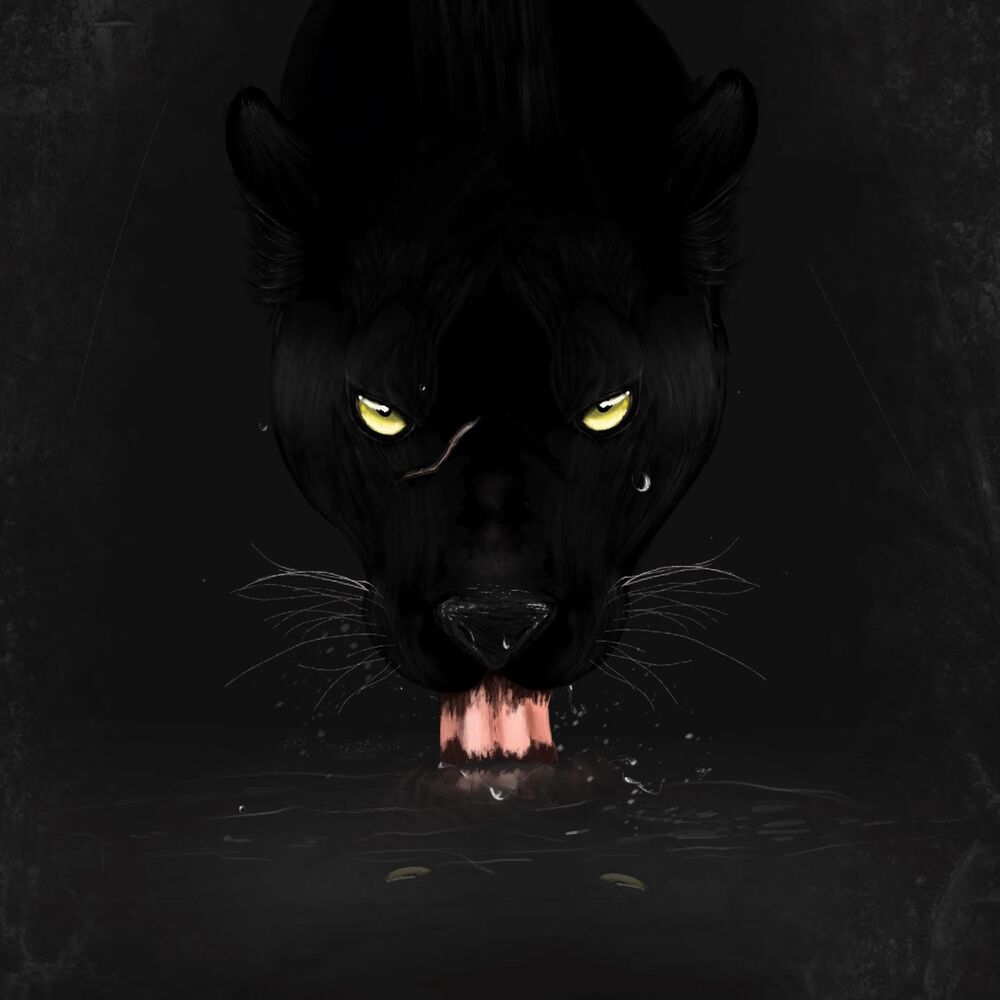 Picture of Bagheera