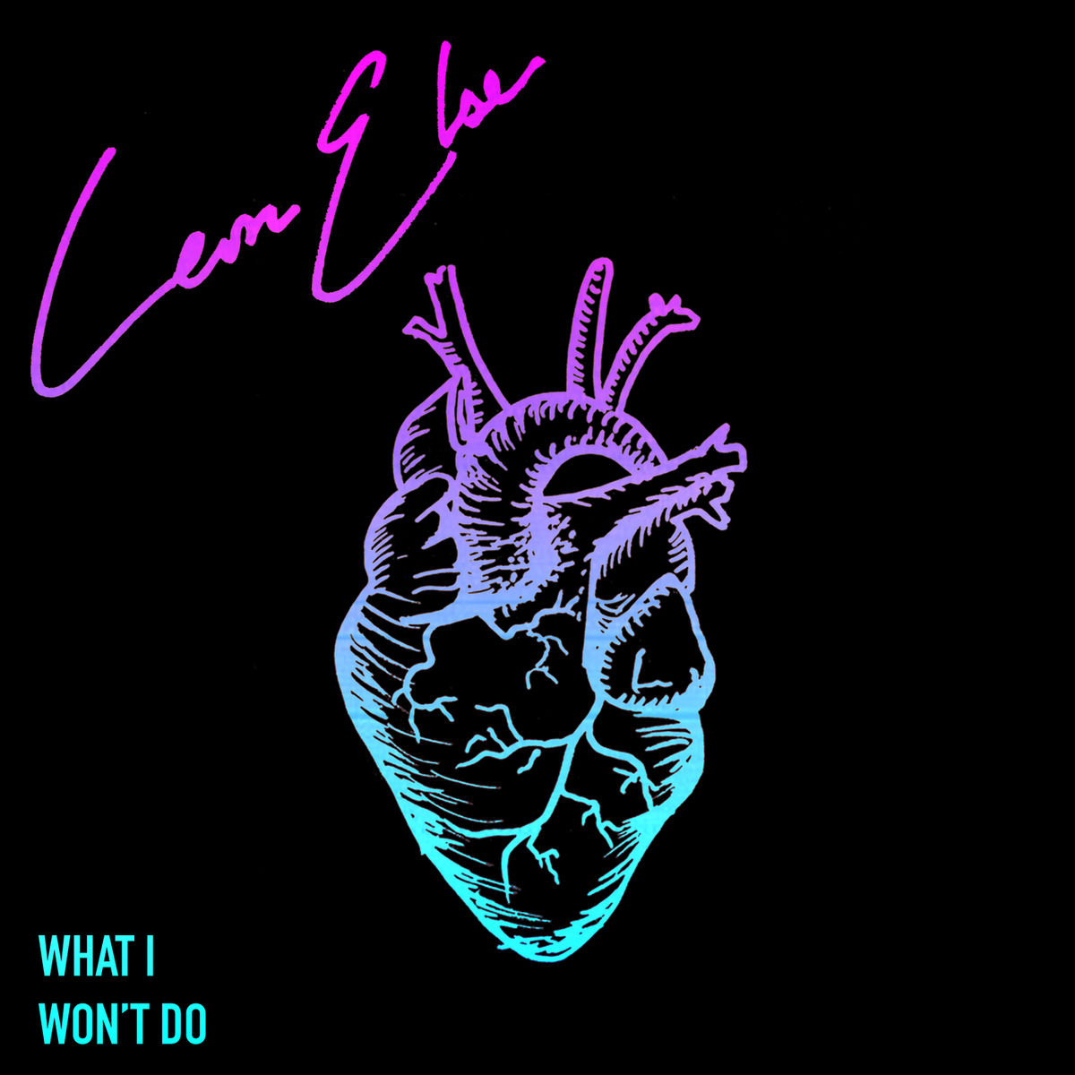 Album cover of What I Won't Do