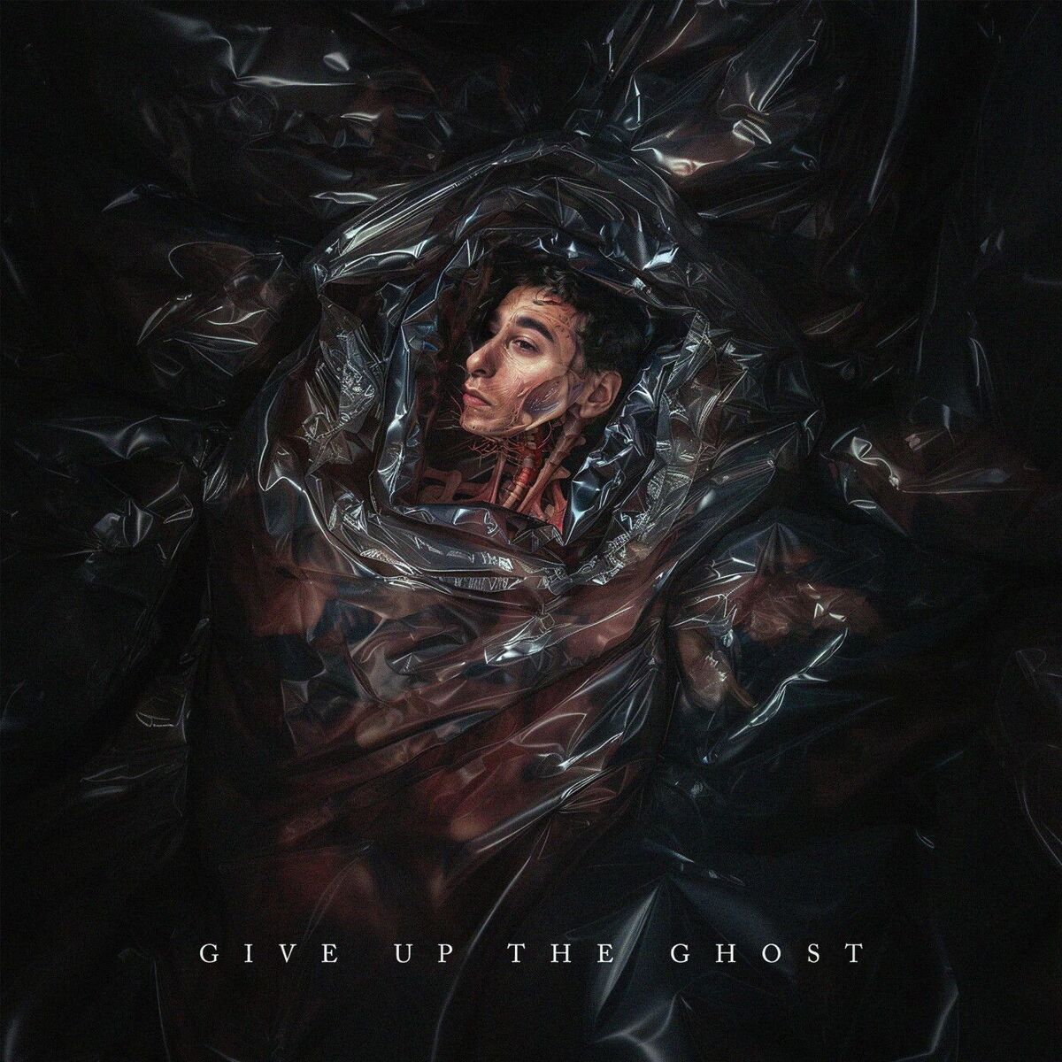 Album cover of Bodybag