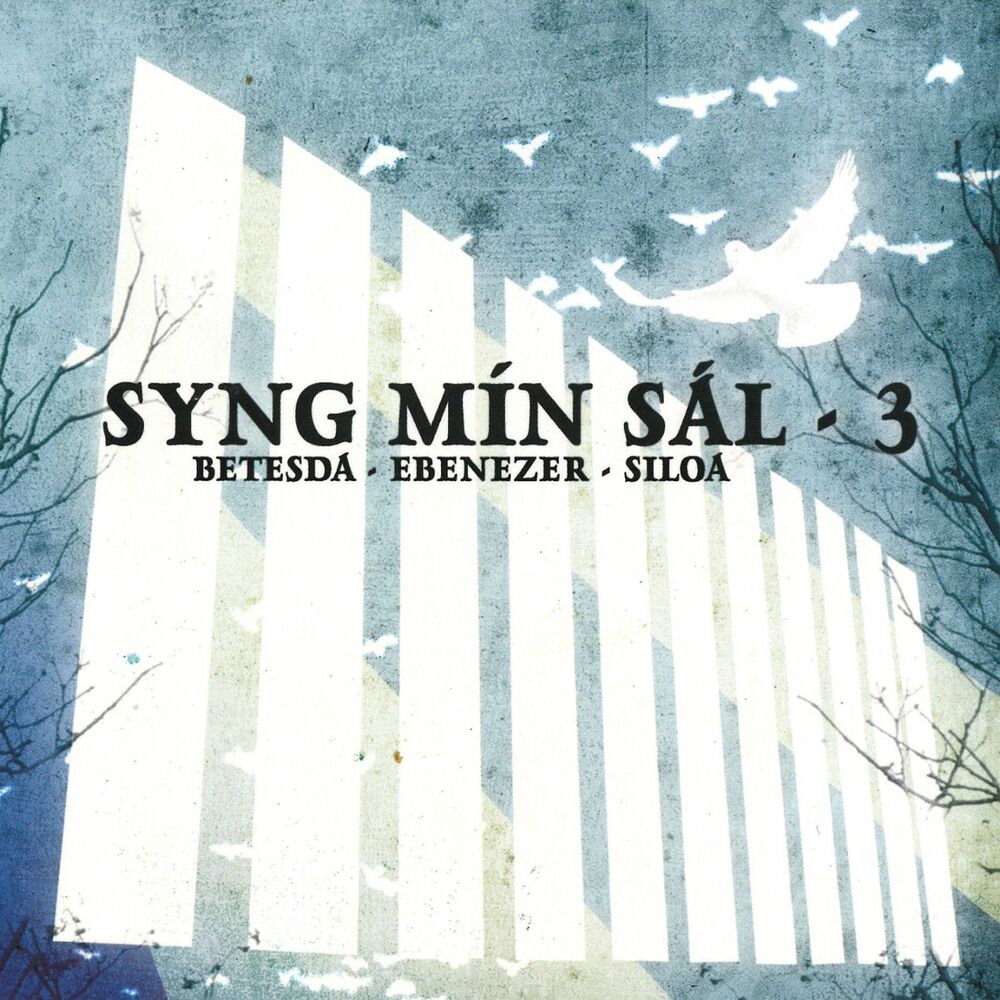 Picture of Syng Mín Sál 3