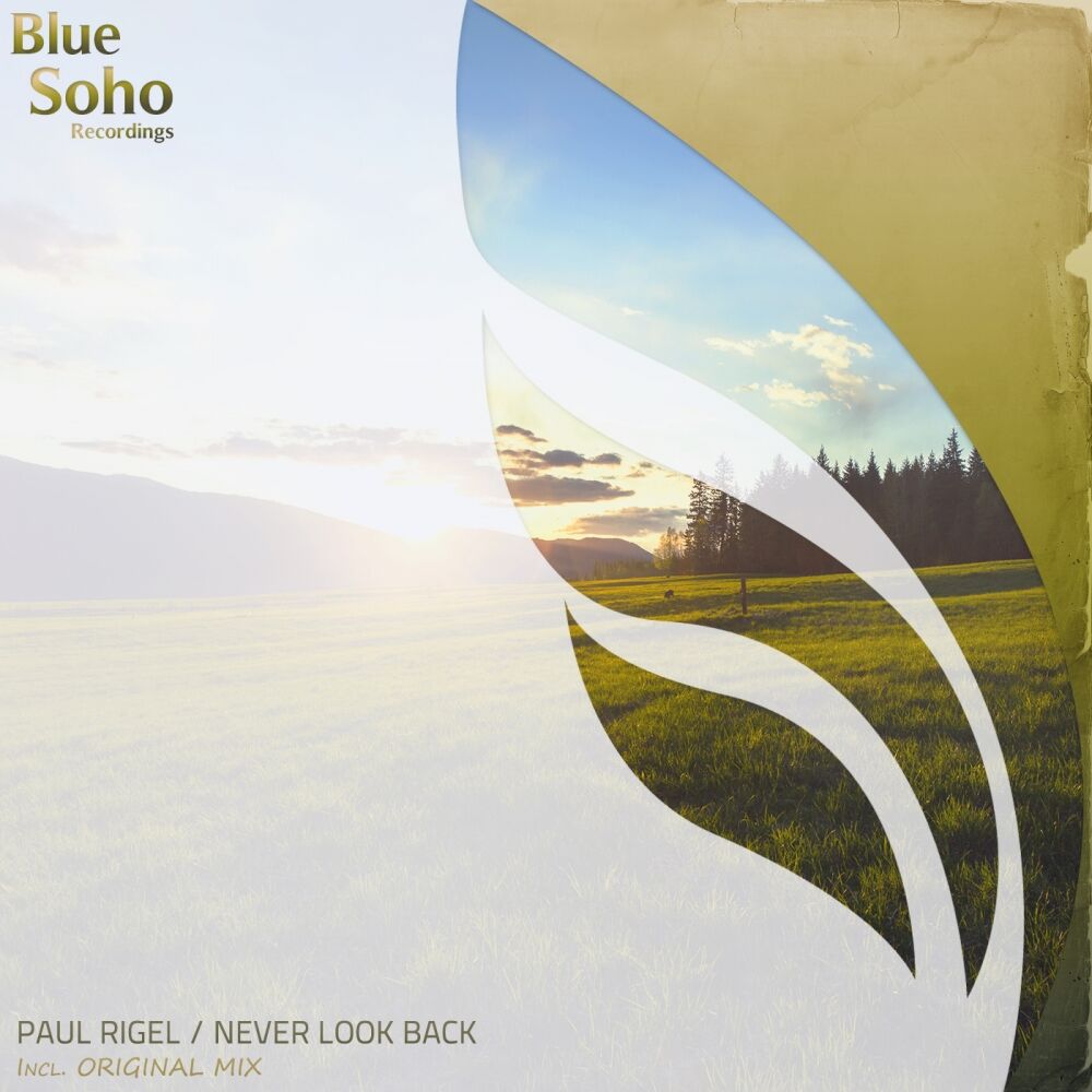 Picture of Never Look Back