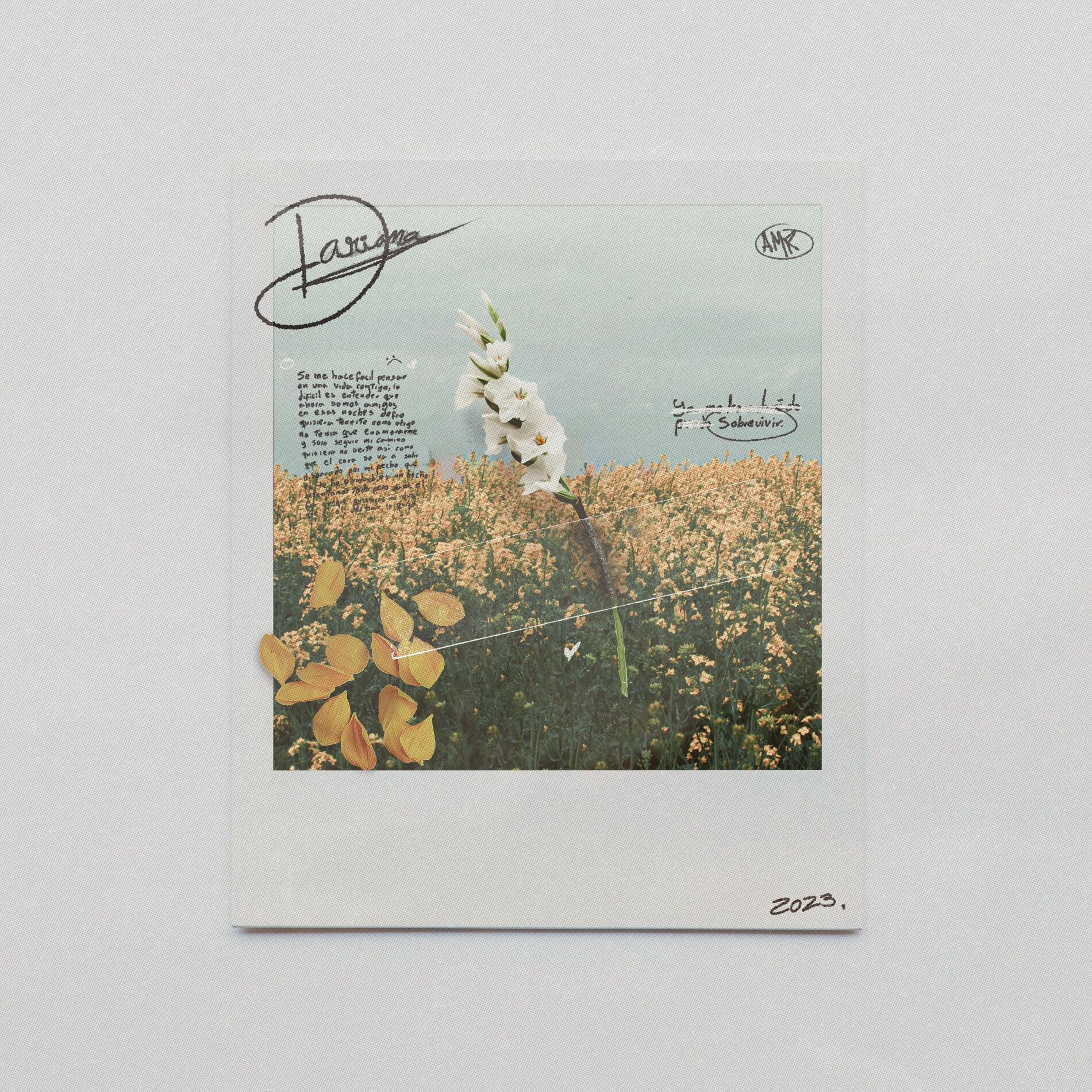 Album cover of Sobrevivir
