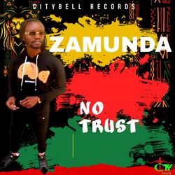 Cover of No Trust