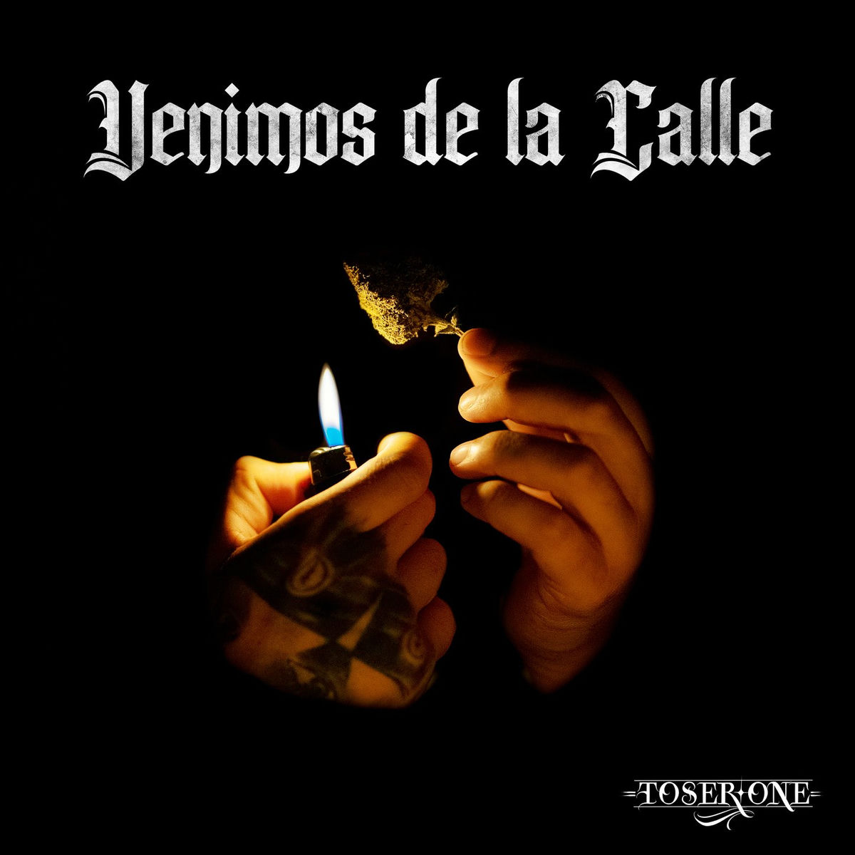 Album picture of Venimos De La Calle