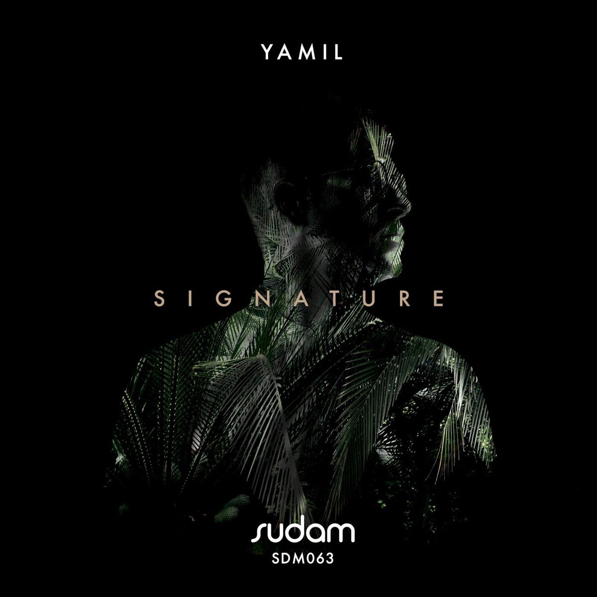 Album cover of SIGNATURE: Yamil